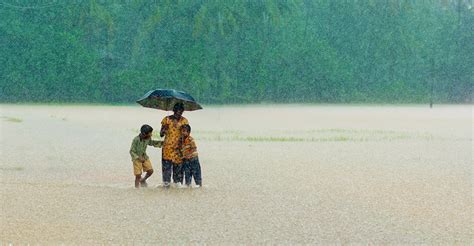 Monsoon Magic Photography Tour In The Western Ghats Darter Photography