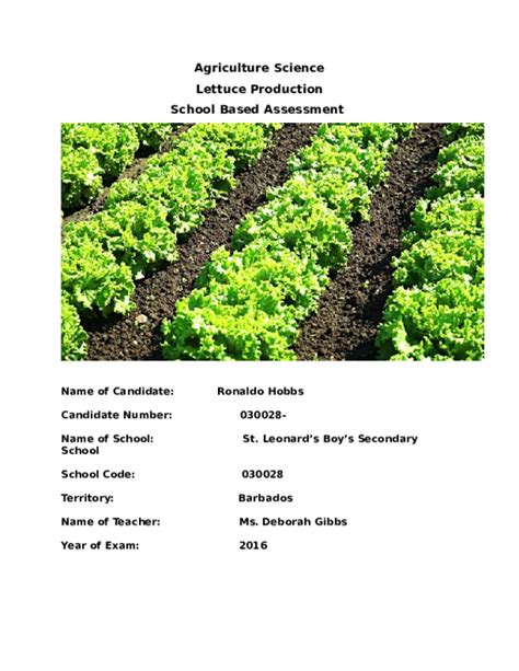 Doc Agriculture Science Lettuce Production School Based Assessment