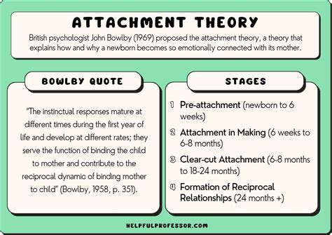 4 Stages Of Attachment Explained Bowlbys Theory 2023
