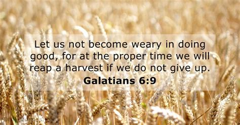 Weymouth new testament let us not abate our courage in doing what is right; Verse of the Day - Galatians 6:9 KJV - Highland Park ...