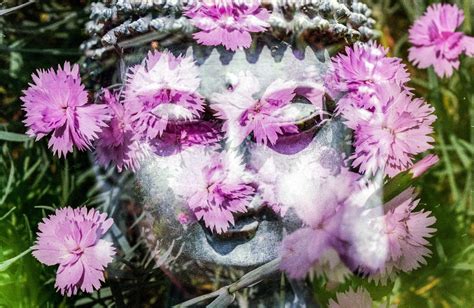 Buddha Blume Buddhismus Kostenloses Foto Auf Pixabay Pixabay