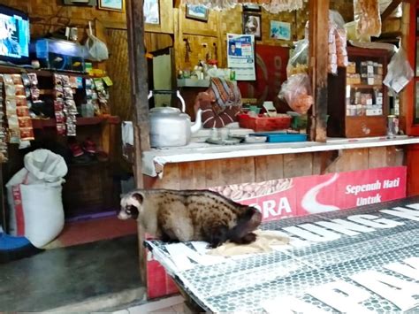 warung hoki 88