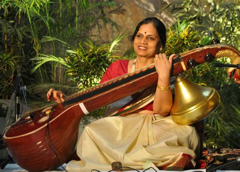 Veena An Indian Traditional Musical Instrument Instruments Art