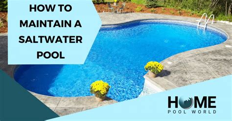 Maintaining A Saltwater Pool All You Need To Know Home Pool World