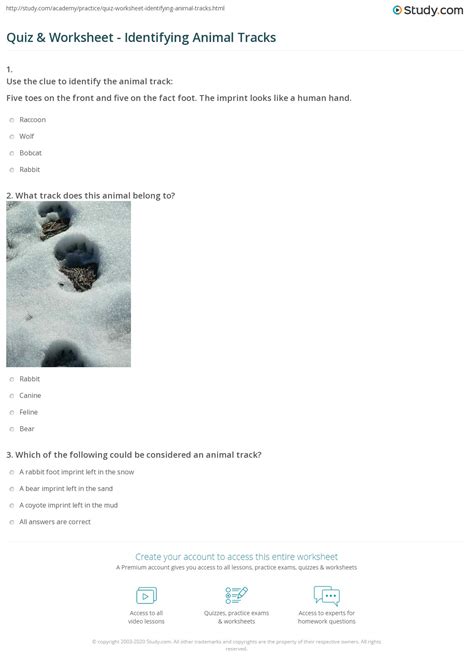 Quiz And Worksheet Identifying Animal Tracks