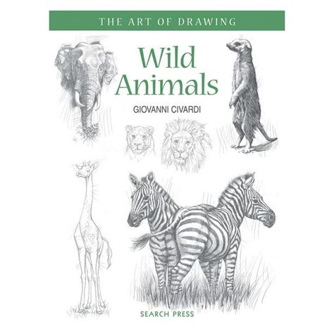Art Of Drawing Wild Animals Paperback