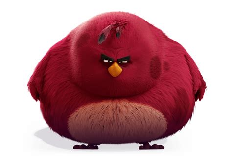 Terence Big Red Bird From Angry Birds Clip Art Library