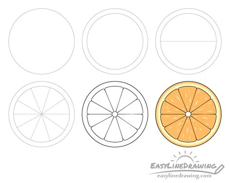 How To Draw An Orange Slice Step By Step Easylinedrawing