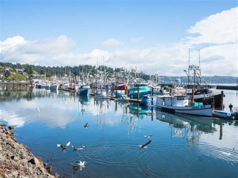 9 Best Things To Do In Newport Oregon Travel Guide Trips To Discover