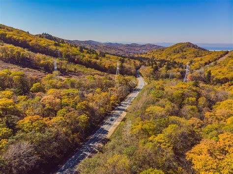 Aerial View Of Road In Beautiful Autumn Forest At Sunset
