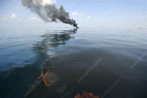 Gulf Of Mexico Oil Spill Response 2010 Stock Image C0065598