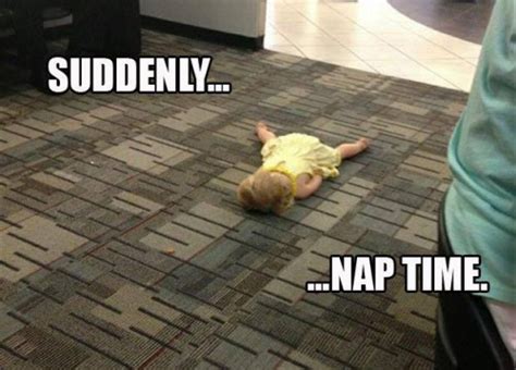 suddenly nap time meme funny pinterest time meme meme and funny stuff