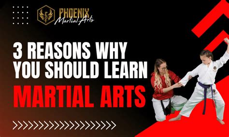 3 Reasons Why You Should Learn Martial Arts Phoenix Martial Arts