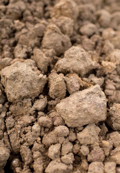 Dirt Soil And Mushroom Compost In Lebanon Pa Zimmerman Mulch