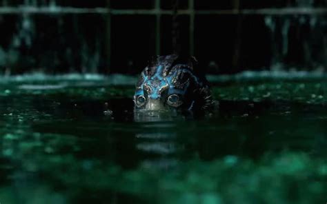 Oscars 2018 Winners And Losers Shape Of Water Wins Best Picture