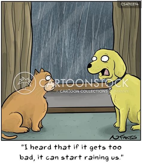 Raining Cats And Dogs Funny Images Cats Blog