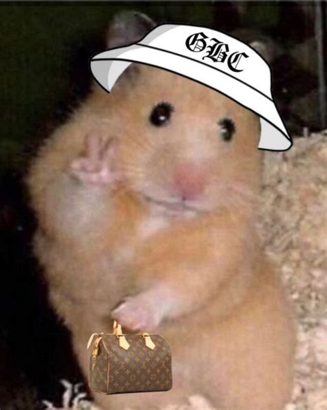 Pin By Judith On Para Usar En Whatsapp Uwu Funny Hamsters Cute Small