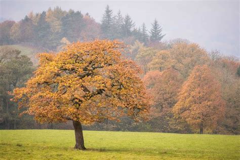 6 Ways To Take Better Autumn Landscape Photos Nature Ttl