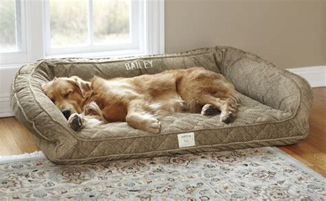 Are Dog Beds Necessary Orvis News
