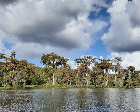 The 15 Best Things To Do In Live Oak 2024 With Photos Tripadvisor