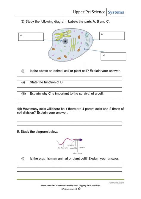 A full index of all math, ela, spelling, phonics, grammar, science, and social studies worksheets found on this website. Upper Primary Science Cells Worksheet