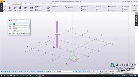 Hướng Dẫn Sử Dụng Tekla Model Bài 13 Move Special Linear Danh