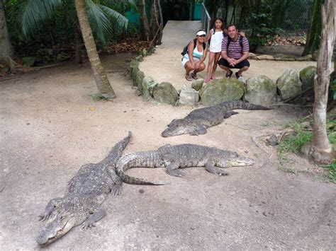 Cancuns Croco Cun Zoo Is Interactive Educational And Pure Fun
