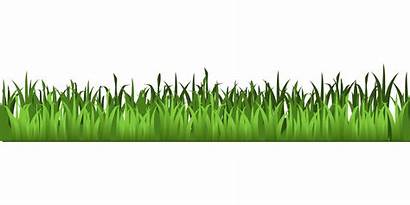 Grass Clipart Meadow Clipground Corn