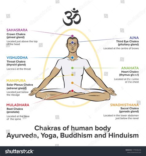 Chakras System Human Body Used Hinduism Stock Vector Royalty Free 1779596246 Shutterstock