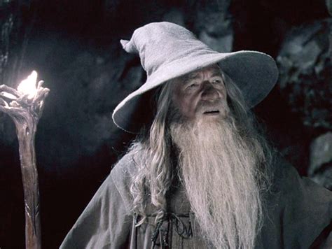 Young hobbit frodo baggins, after having a ring must leave his home in order to keep it from falling into the hands of its creator. Sir Ian McKellen Wants To Play Gandalf In Lord Of The ...
