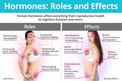 Hormones Role Effects Shecares