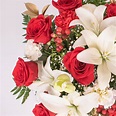 Wholesale Be Merry Red Rose Flower Arrangement - bulk Be Merry Red Rose ...