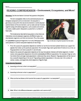 Take a look at these answers if you have completed the escaping the endless adolescence reading comprehension worksheet 1. Ecosystem Worksheet | Science teaching resources ...