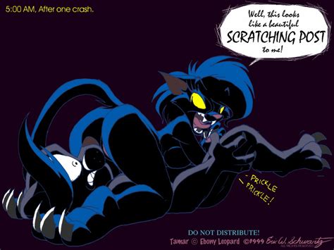 Rule 34 1999 Ass Black Cat Darke Katt Eric Schwartz Feline Female