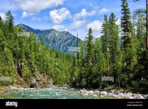 The Boreal Forest Hi Res Stock Photography And Images Alamy