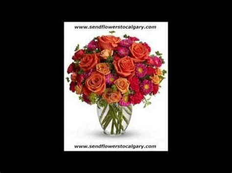 Maybe you would like to learn more about one of these? Jakobine Karlsen: Send Flowers Calgary Free Delivery ...