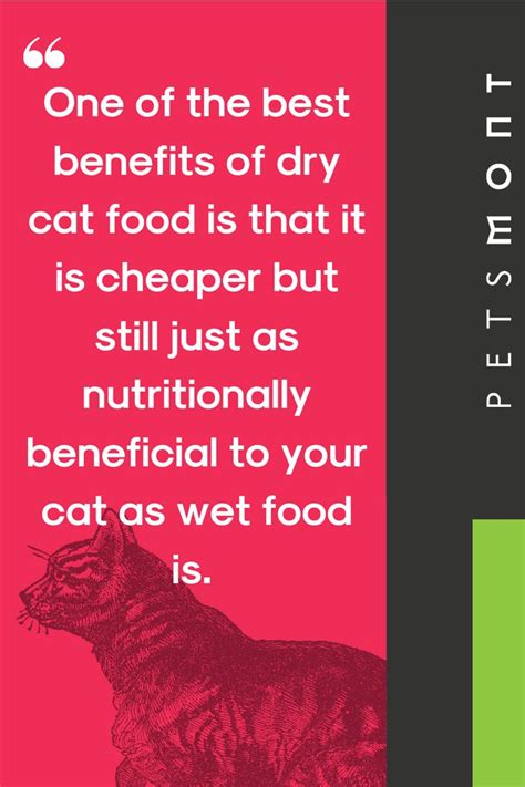 If you are feeding your kitten both dry and canned foods, then twice a day canned feedings are sufficient. How Much Should I Feed my Cat? | Cats, Dry cat food, Wet ...