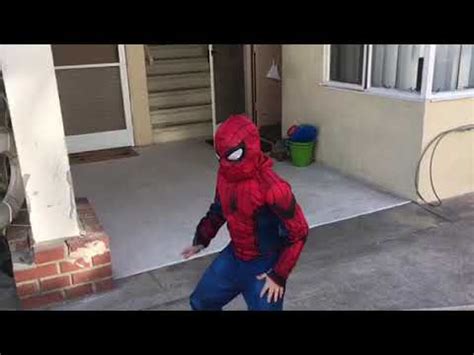 Dani daniels spiderman