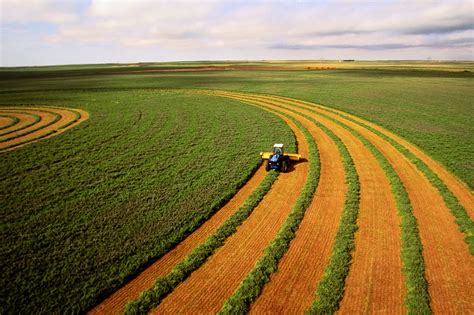 Ukrainian Agro Region Plans To Buy Farmland After Opening Of Market