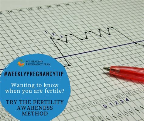 3 Signs Youre Fertile Making Fertility Awareness Work For You Terra