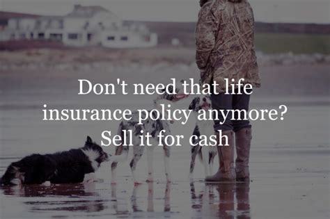 Life insurance coverages at a glance. How To Sell Your Life Inusurance Policy | Get More Cash | Insurance Geek