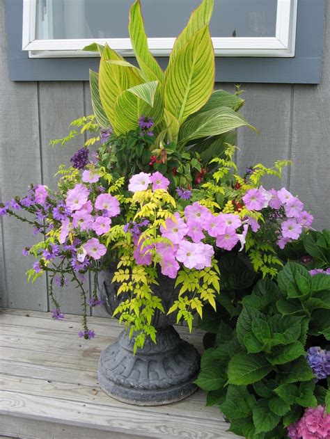 Container Using Tropicals Container Gardening Garden Projects Plants