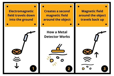 How Do Metal Detectors Work Finding Treasure Treasure Detection