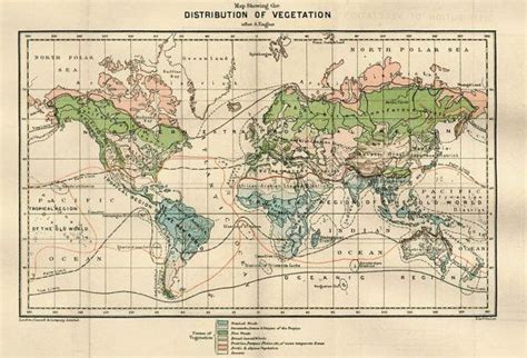 1890s Vintage World Maps Distribution Of Plants Vegetation Set Of