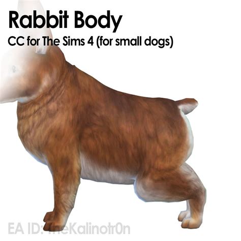 Kalino New Rabbit Cc For Your Small Dogs Sims Pets Sims 4 Pets Sims