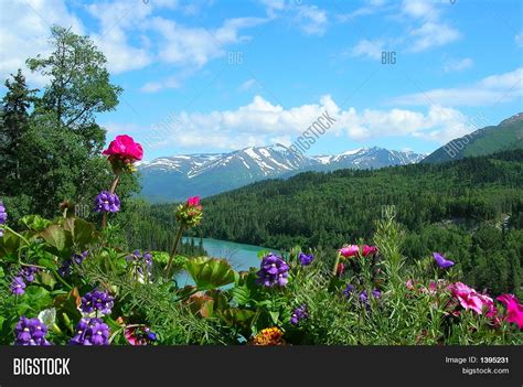Alaska Mountains And Flowers Stock Photo And Stock Images Bigstock