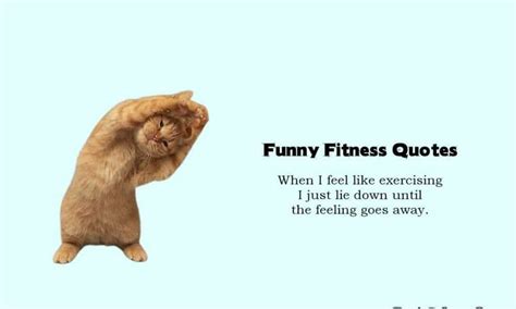 80 Funny Fitness Quotes And Funny Exercise Gym Memes
