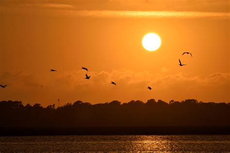 Free Images Beach Landscape Sea Coast Water Horizon Sky Sun