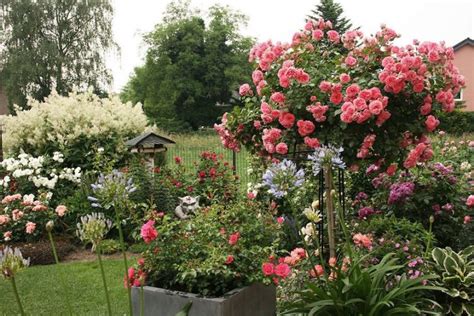 Moderne Gartengestaltung Mit Einem Rosenbogen Pavillon Rosenlaube