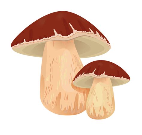 Mushrooms Clipart Champignon Mushroom Mushrooms Champignon Mushroom